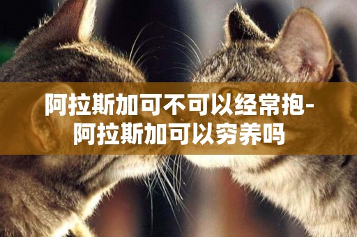 阿拉斯加可不可以經常抱-阿拉斯加可以窮養嗎