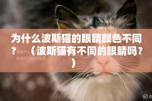 為什么波斯貓的眼睛顏色不同？  （波斯貓有不同的眼睛嗎？） 