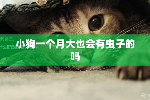小狗一個月大也會有蟲子的嗎