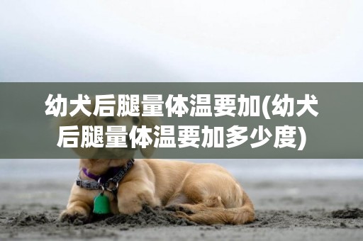 幼犬后腿量體溫要加(幼犬后腿量體溫要加多少度)