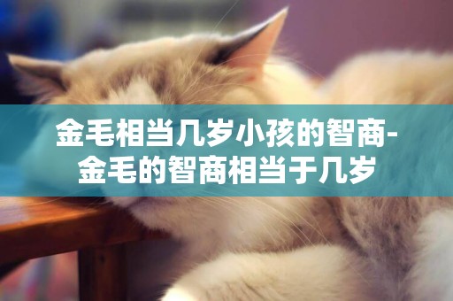 金毛相當幾歲小孩的智商-金毛的智商相當于幾歲