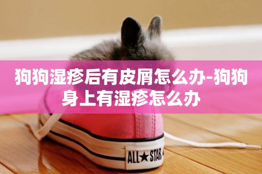 狗狗濕疹后有皮屑怎么辦-狗狗身上有濕疹怎么辦