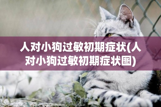 人對小狗過敏初期癥狀(人對小狗過敏初期癥狀圖)