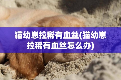 貓幼崽拉稀有血絲(貓幼崽拉稀有血絲怎么辦)