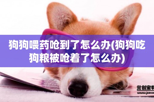 狗狗喂藥嗆到了怎么辦(狗狗吃狗糧被嗆著了怎么辦)
