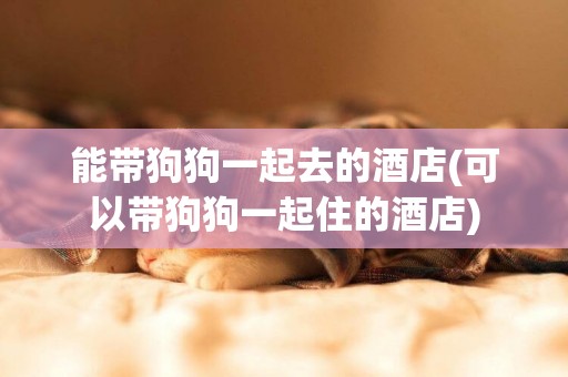能帶狗狗一起去的酒店(可以帶狗狗一起住的酒店)