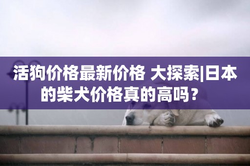 活狗價格最新價格 大探索|日本的柴犬價格真的高嗎？ 