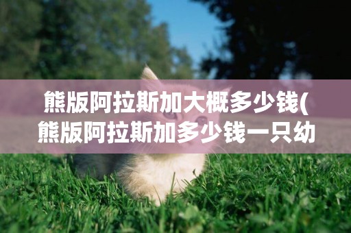 熊版阿拉斯加大概多少錢(熊版阿拉斯加多少錢一只幼犬)