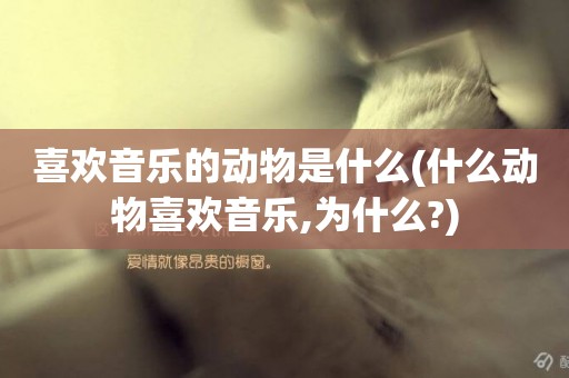 喜歡音樂的動物是什么(什么動物喜歡音樂,為什么?)