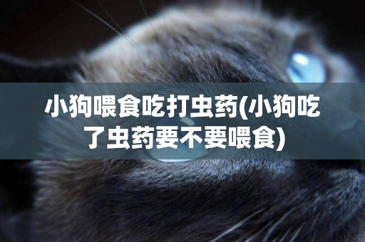 小狗喂食吃打蟲藥(小狗吃了蟲藥要不要喂食)