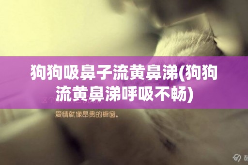 狗狗吸鼻子流黃鼻涕(狗狗流黃鼻涕呼吸不暢)