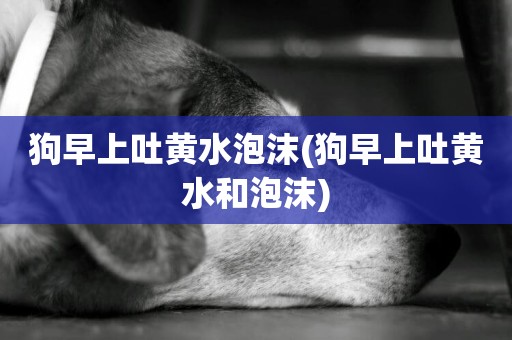 狗早上吐黃水泡沫(狗早上吐黃水和泡沫)