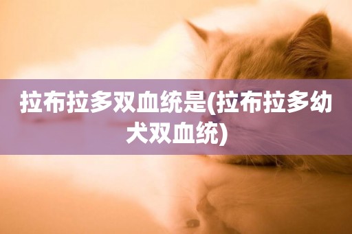 拉布拉多雙血統是(拉布拉多幼犬雙血統)