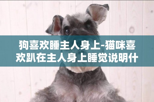 狗喜歡睡主人身上-貓咪喜歡趴在主人身上睡覺說明什么
