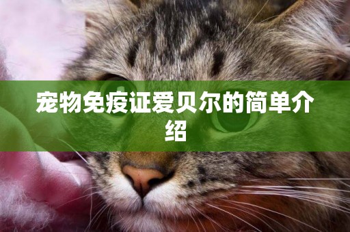 寵物免疫證愛貝爾的簡單介紹