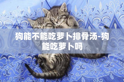 狗能不能吃蘿卜排骨湯-狗能吃蘿卜嗎