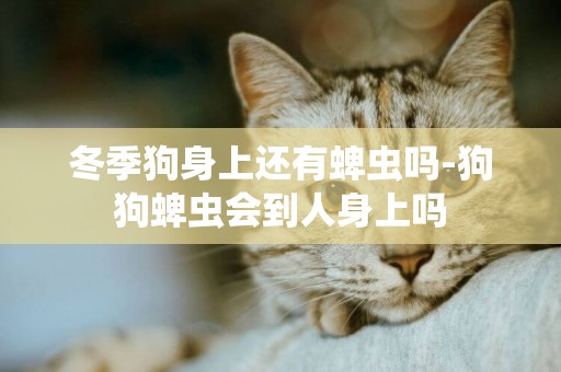 冬季狗身上還有蜱蟲嗎-狗狗蜱蟲會到人身上嗎
