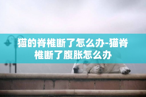 貓的脊椎斷了怎么辦-貓脊椎斷了腹脹怎么辦
