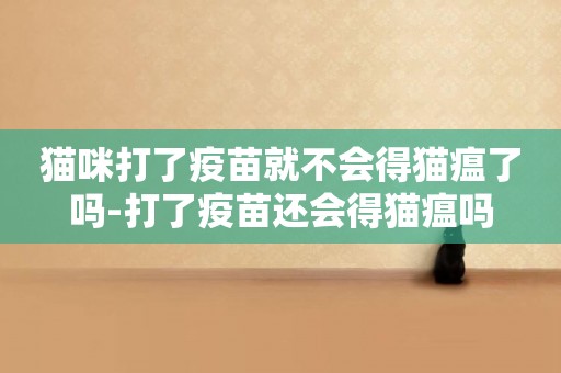 貓咪打了疫苗就不會得貓瘟了嗎-打了疫苗還會得貓瘟嗎