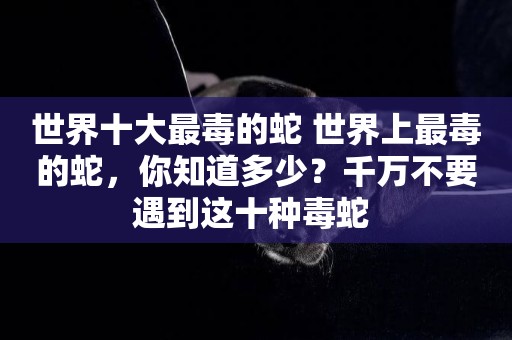 世界十大最毒的蛇 世界上最毒的蛇，你知道多少？千萬不要遇到這十種毒蛇 