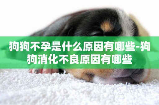 狗狗不孕是什么原因有哪些-狗狗消化不良原因有哪些