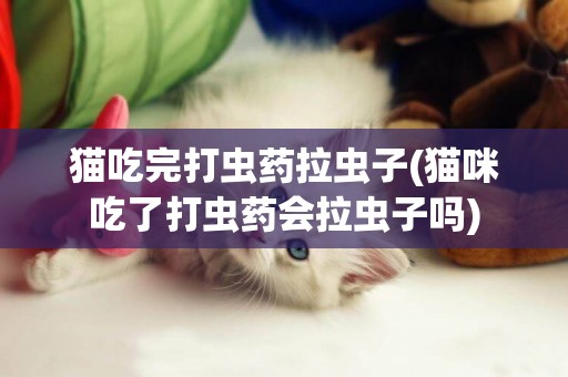 貓吃完打蟲藥拉蟲子(貓咪吃了打蟲藥會拉蟲子嗎)