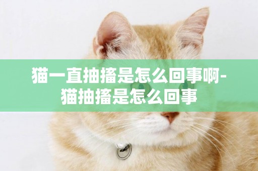 貓一直抽搐是怎么回事啊-貓抽搐是怎么回事