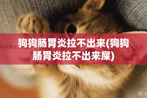 狗狗腸胃炎拉不出來(狗狗腸胃炎拉不出來屎)