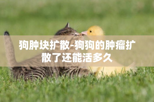 狗腫塊擴散-狗狗的腫瘤擴散了還能活多久