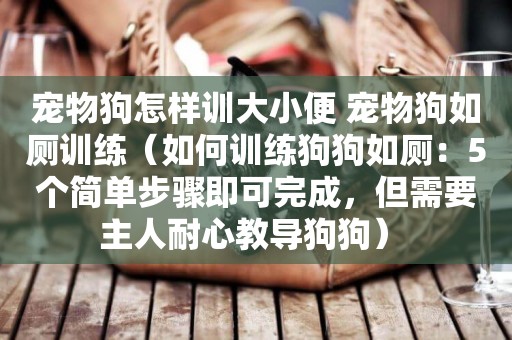 寵物狗怎樣訓大小便 寵物狗如廁訓練（如何訓練狗狗如廁：5個簡單步驟即可完成，但需要主人耐心教導狗狗） 