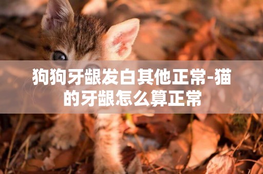 狗狗牙齦發白其他正常-貓的牙齦怎么算正常