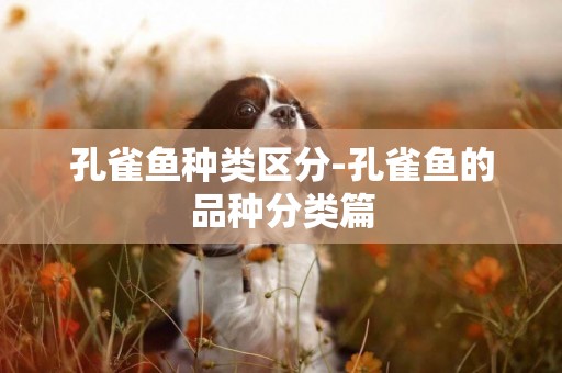 孔雀魚種類區分-孔雀魚的品種分類篇