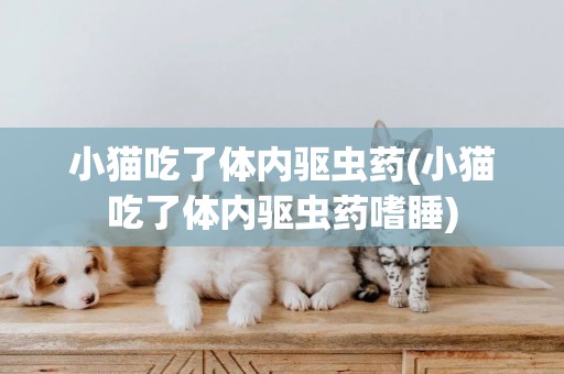 小貓吃了體內驅蟲藥(小貓吃了體內驅蟲藥嗜睡)
