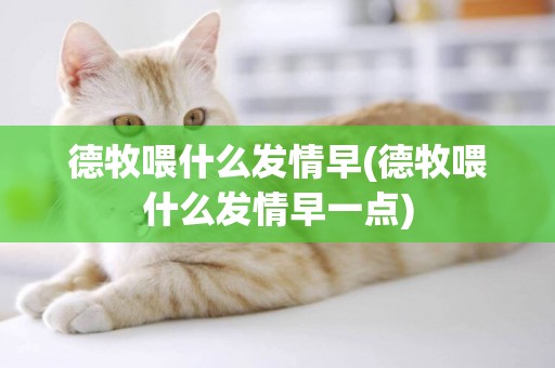 德牧喂什么發情早(德牧喂什么發情早一點)