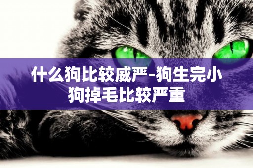什么狗比較威嚴-狗生完小狗掉毛比較嚴重
