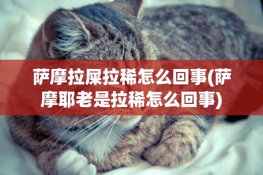 薩摩拉屎拉稀怎么回事(薩摩耶老是拉稀怎么回事)