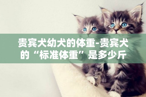 貴賓犬幼犬的體重-貴賓犬的“標準體重”是多少斤