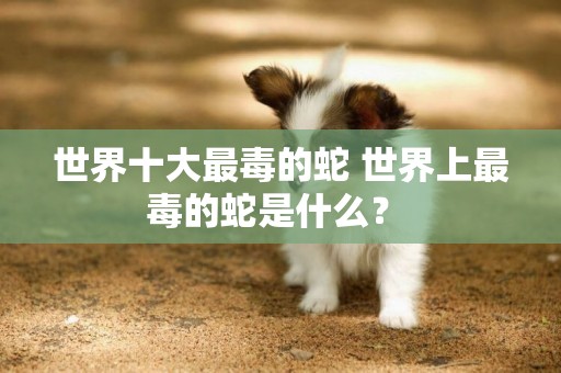世界十大最毒的蛇 世界上最毒的蛇是什么？ 