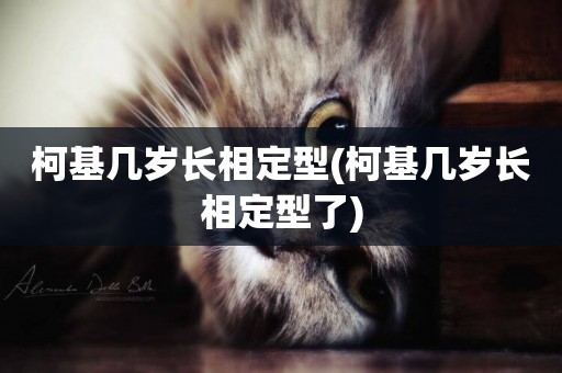 柯基幾歲長相定型(柯基幾歲長相定型了)