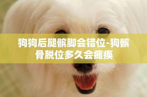 狗狗后腿髕腳會錯位-狗髕骨脫位多久會癱瘓
