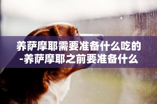 養薩摩耶需要準備什么吃的-養薩摩耶之前要準備什么
