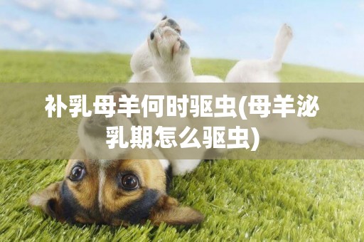 補乳母羊何時驅蟲(母羊泌乳期怎么驅蟲)