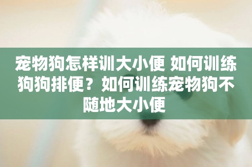 寵物狗怎樣訓大小便 如何訓練狗狗排便？如何訓練寵物狗不隨地大小便 