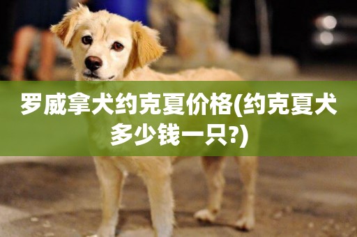 羅威拿犬約克夏價格(約克夏犬多少錢一只?)