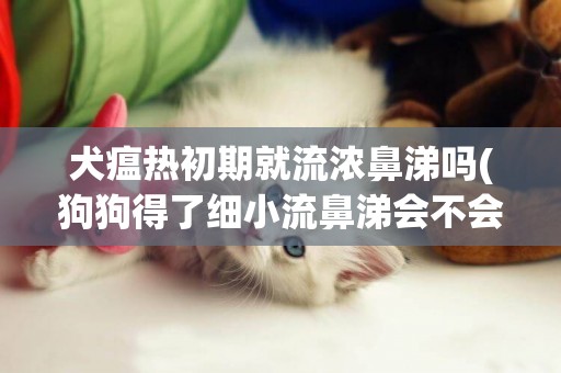 犬瘟熱初期就流濃鼻涕嗎(狗狗得了細小流鼻涕會不會是犬瘟熱)