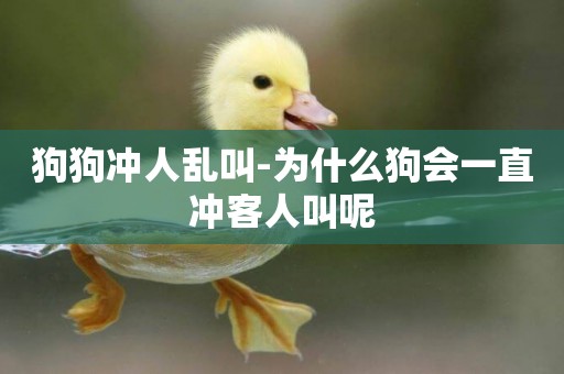 狗狗沖人亂叫-為什么狗會一直沖客人叫呢