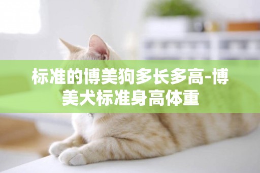標準的博美狗多長多高-博美犬標準身高體重
