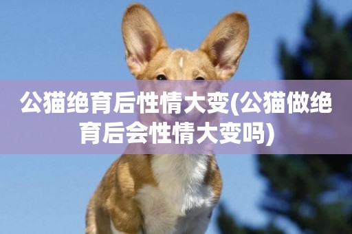 公貓絕育后性情大變(公貓做絕育后會性情大變嗎)