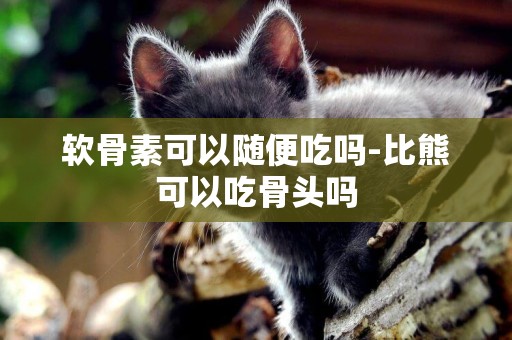 軟骨素可以隨便吃嗎-比熊可以吃骨頭嗎