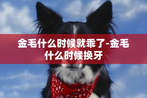 金毛什么時候就乖了-金毛什么時候換牙
